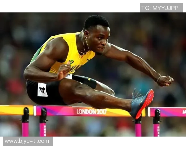 拉波尔特的崛起与影响力探讨：从个人成就到全球视野的多维分析